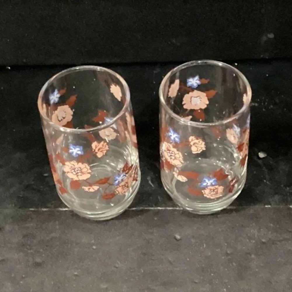 Libbey Floral Juice Glasses, Set of 2,‎ Vintage Orange Flowers Design Drinkware